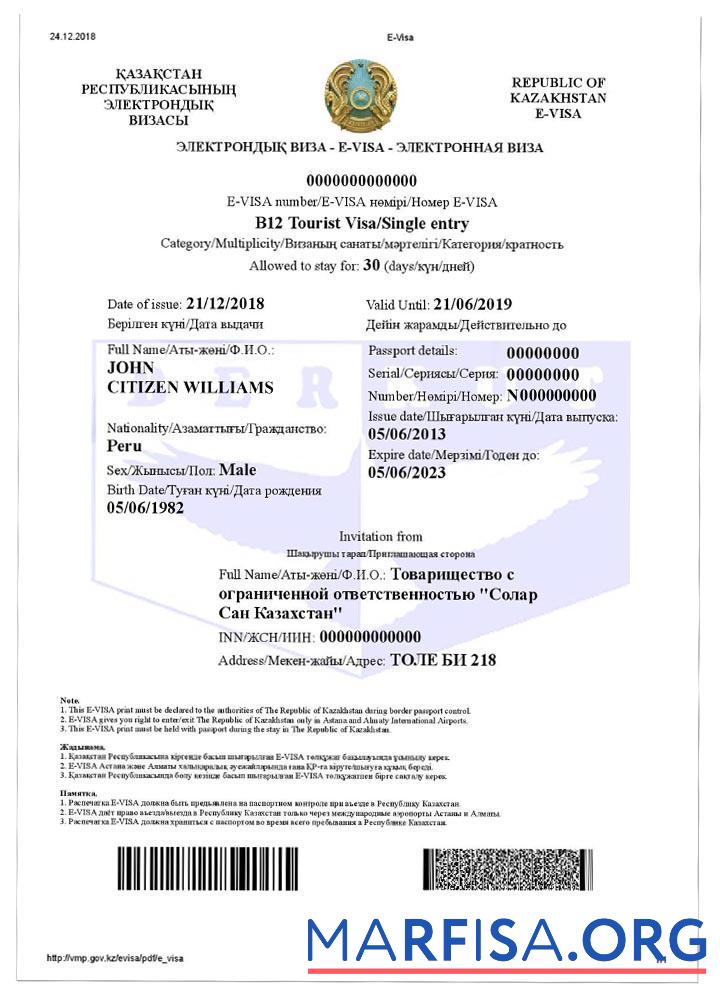 Blank Kazakhstan e visa download for verification
